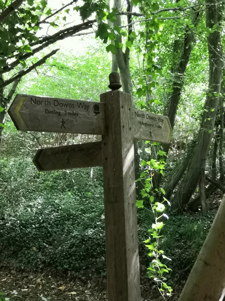 signpost