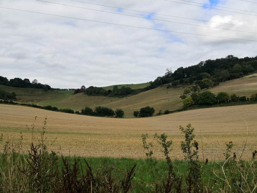 Pilgrims Way looking up at the North Downs Way