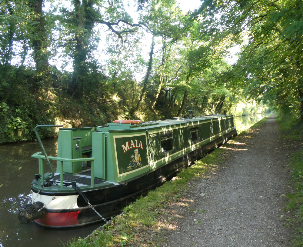 Maia moored